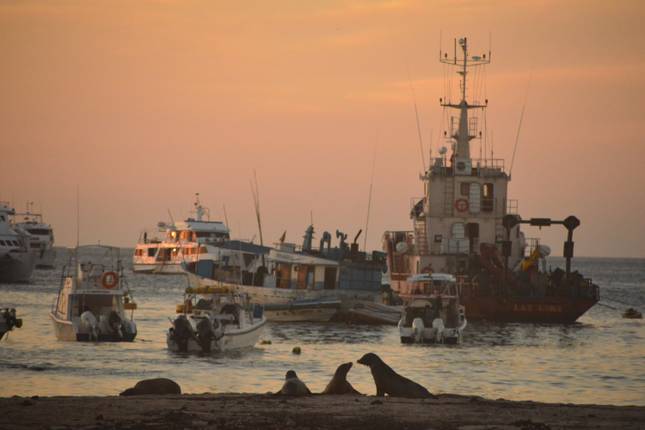 Galapagos Islands Christmas 2022 10 Best Galapagos Islands Christmas & New Year Tours 2022/2023 - Tourradar