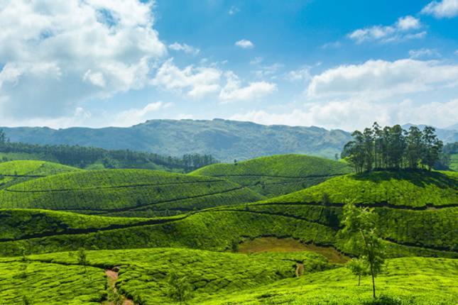 western ghats tour packages