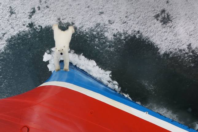 Reino do Urso Polar
