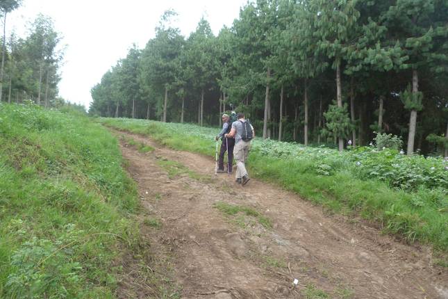 Mount Kilimanjaro Rongai Route