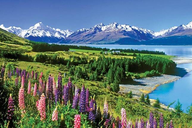 new zealand tours for over 50s