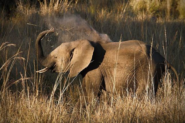 Vic Falls to Zanzibar