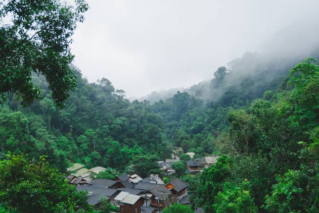 Journeys: Explore Northern Thailand National Geographic Journeys