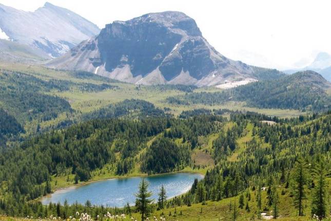 10 Best Canadian Rockies Tours And Trips From Vancouver Tourradar