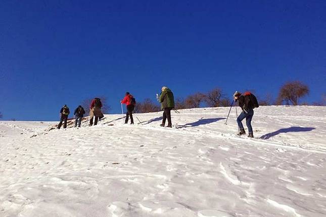 Transylvania Winter Walk & Snowshoe