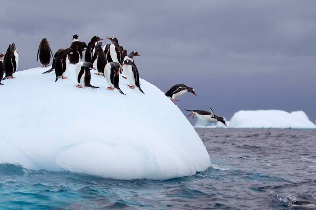 Antarctic Peninsula: Crossing the Circle, Operated by Quark