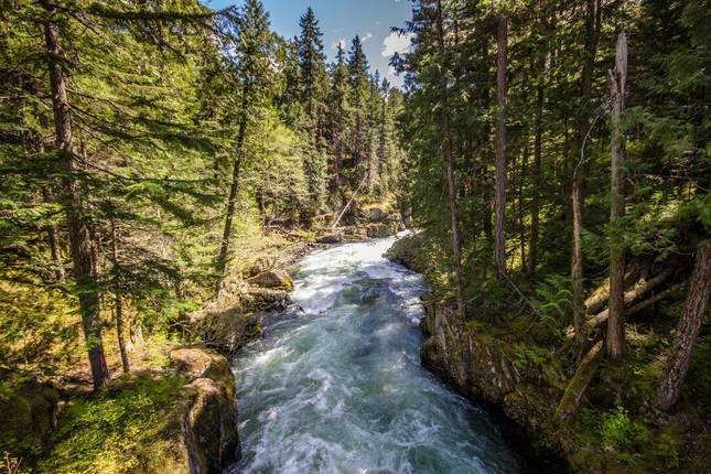 Real Canadian Rockies
