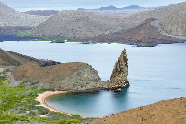Galápagos Puro (Grand Daphne)