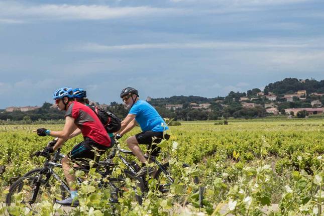 Cycle Provence