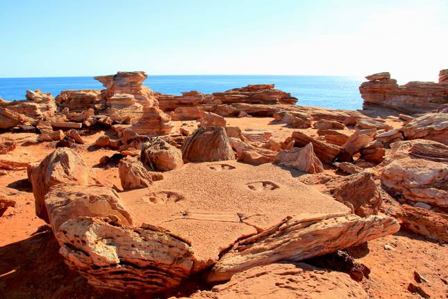 Top 10 Tours Trips From Darwin To Broome 2021 2022 Tourradar