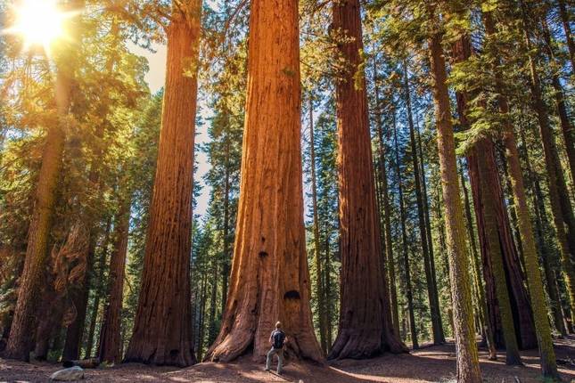 10 Best British Columbia Summer 2021 Tours Trips Tourradar