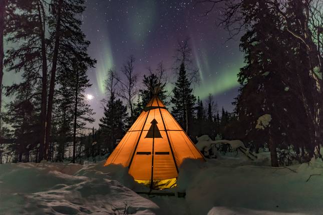 Northern Lights & wildlife in Swedish Lapland, 7 nights