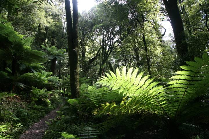 Itinerary Image 1