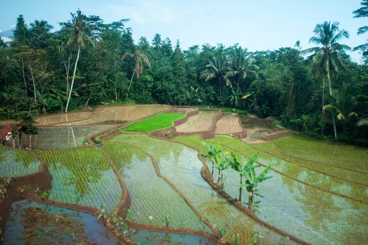 Itinerary Image 3