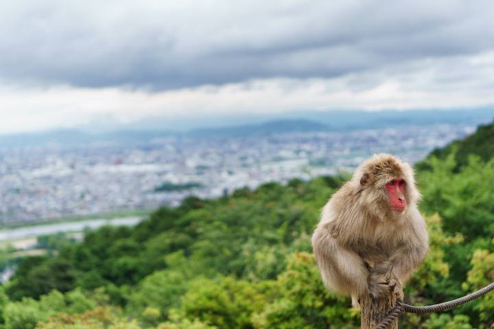 Itinerary Image 1