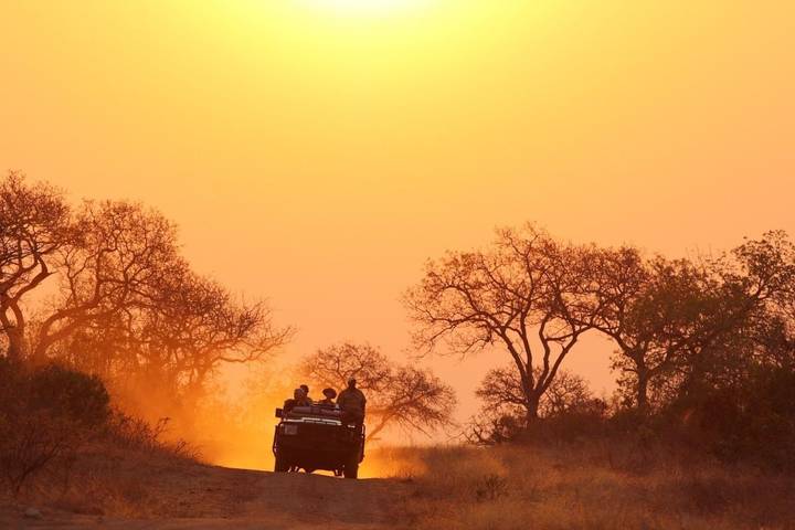 10 Best South Africa Safari Tours 2024/2025 - TourRadar