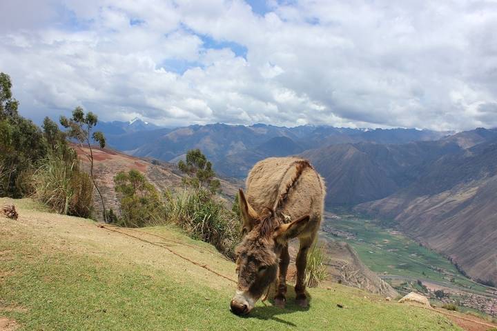 Itinerary Image 3