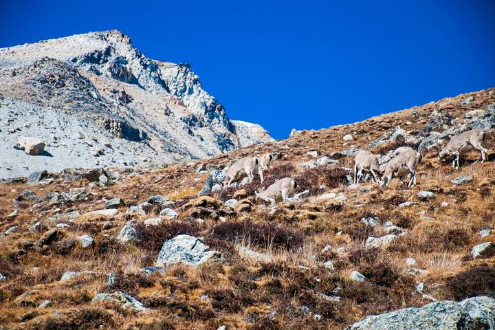 Itinerary Image 3