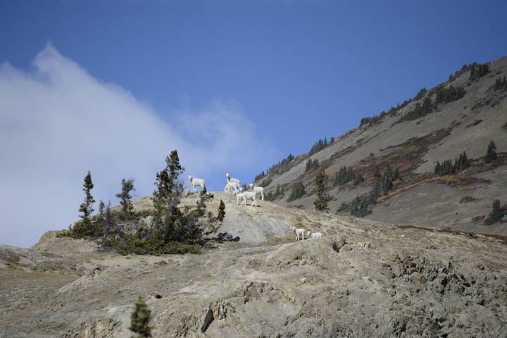 Itinerary Image 3