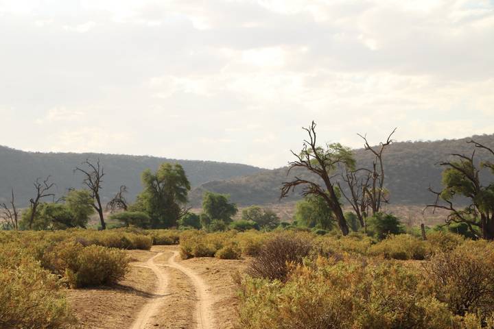 Nairobi to Zanzibar: Serengeti & Sunsets