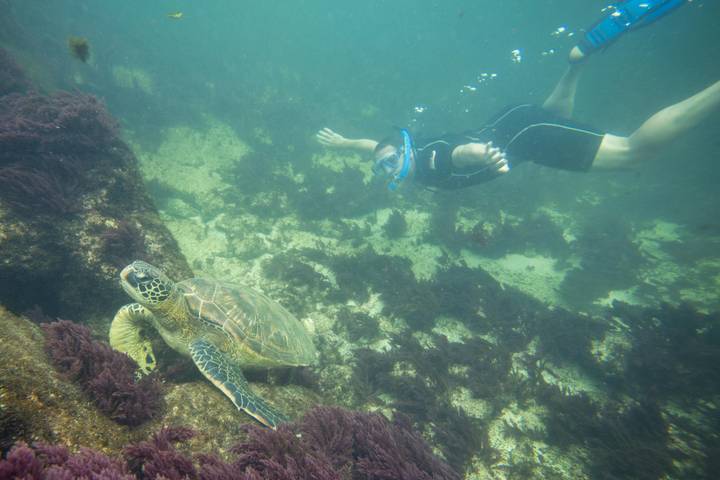 Itinerary Image 3
