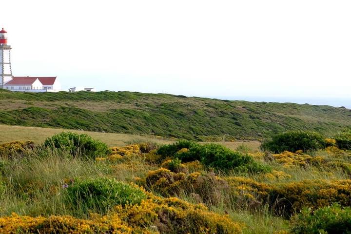 Itinerary Image 1