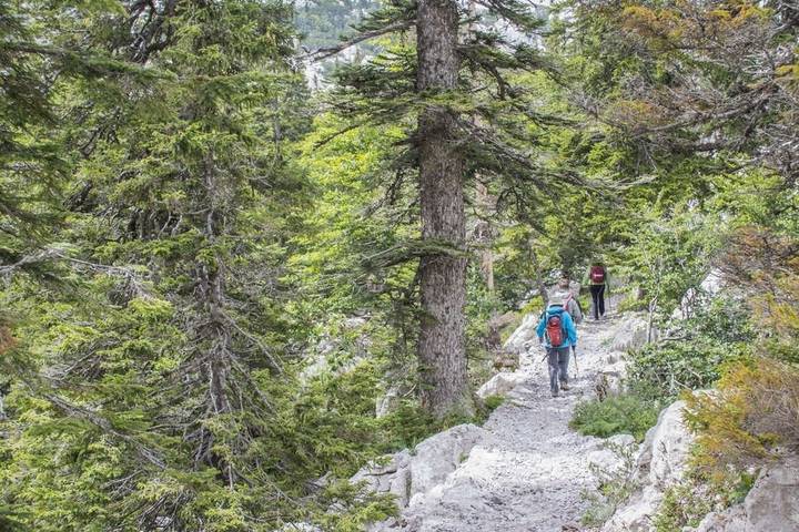 Itinerary Image 3