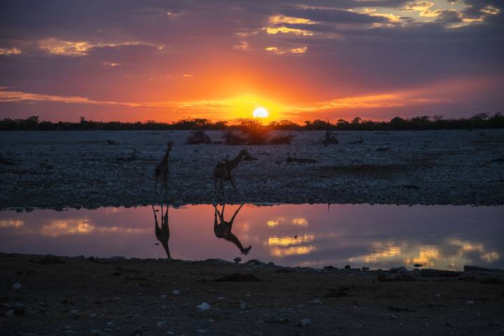Family Botswana and Zimbabwe Safari Adventure