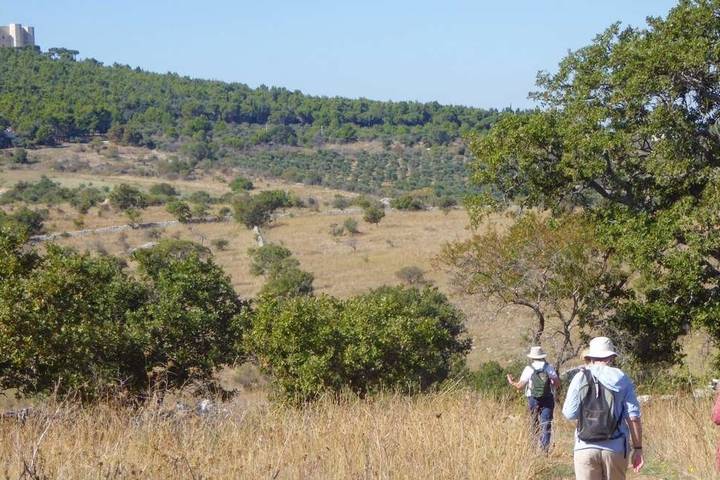 Itinerary Image 1