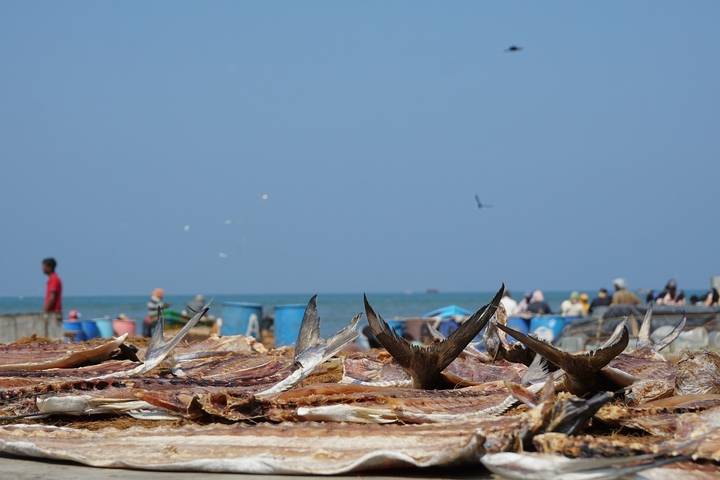 Itinerary Image 2