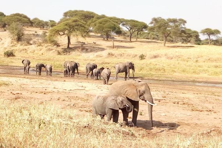 Itinerary Image 1