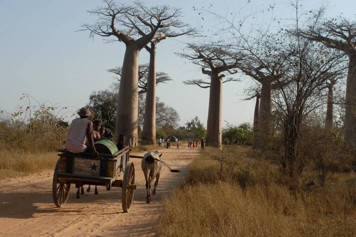 Itinerary Image 1