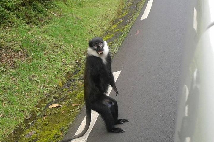 9 Days Rwanda Gorilla Experience & Safari