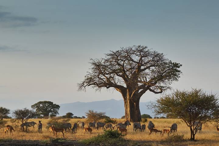 Itinerary Image 3