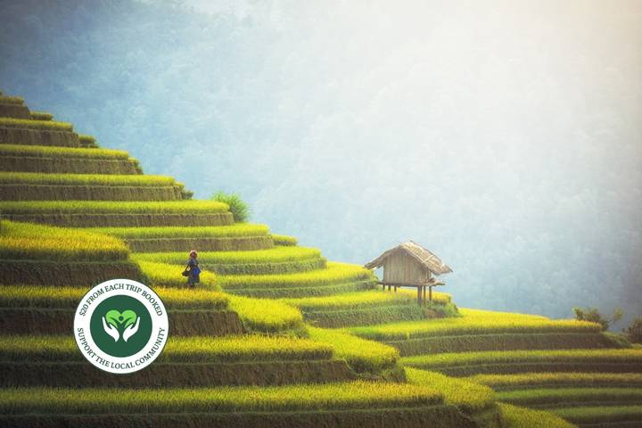 Best Of Vietnam In 14 Days