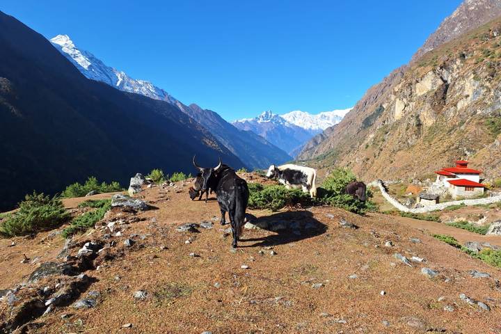 Itinerary Image 2