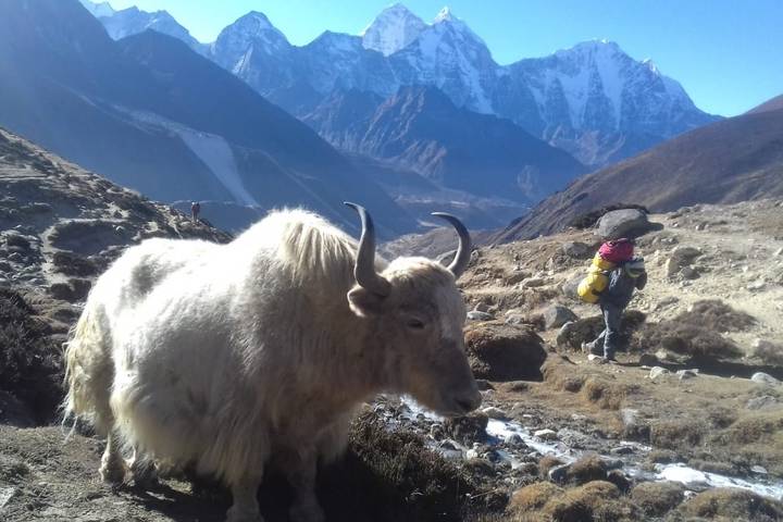 Itinerary Image 2