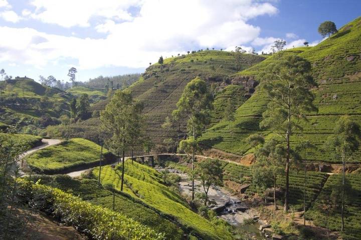 Itinerary Image 2