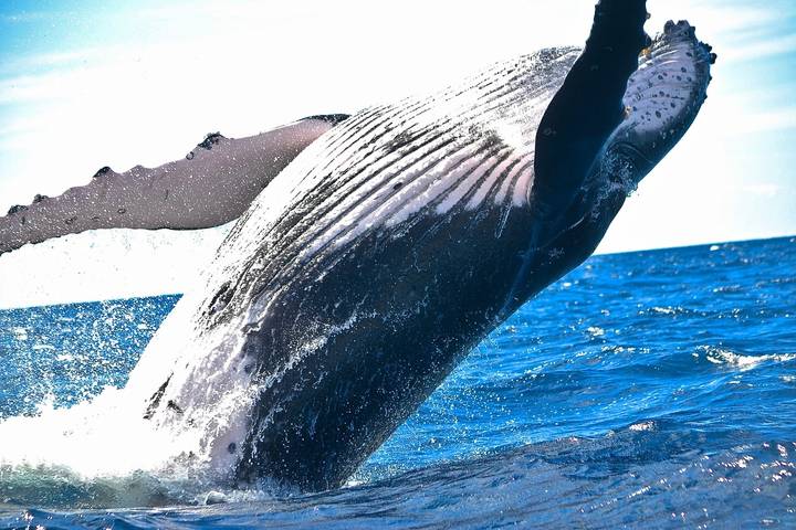 Itinerary Image 1