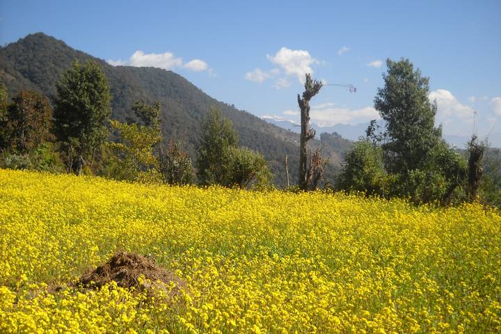 Itinerary Image 2
