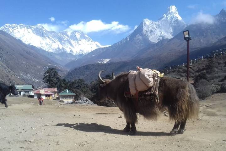 Itinerary Image 3