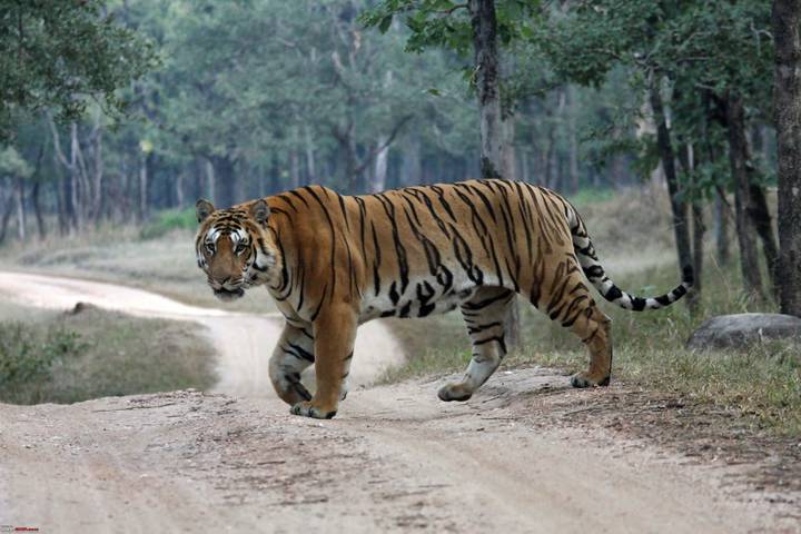 Itinerary Image 2