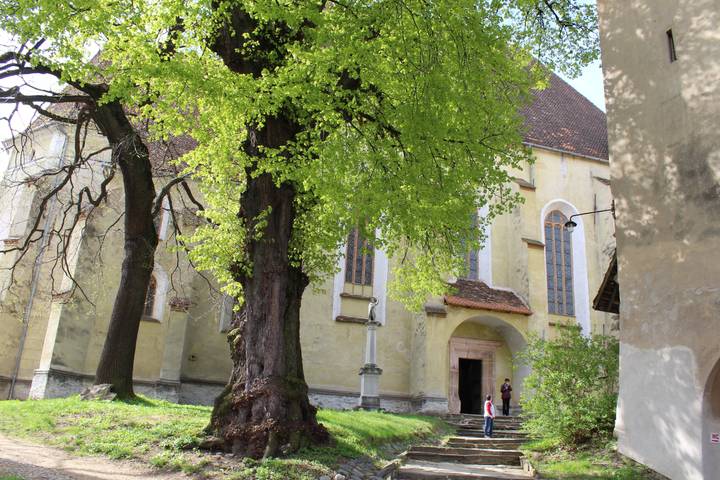 Itinerary Image 3