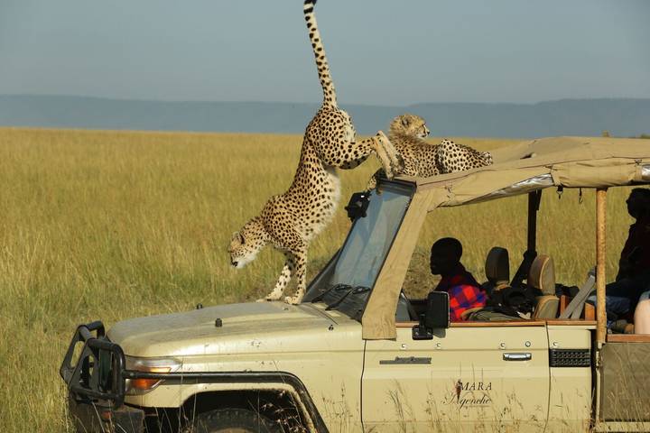 Itinerary Image 2