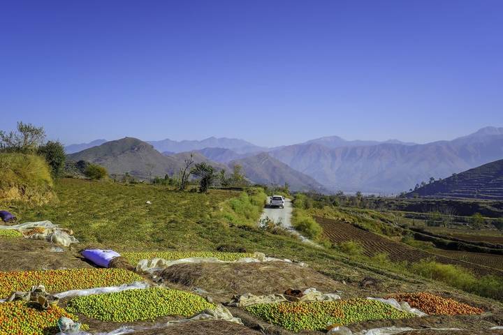 Itinerary Image 2