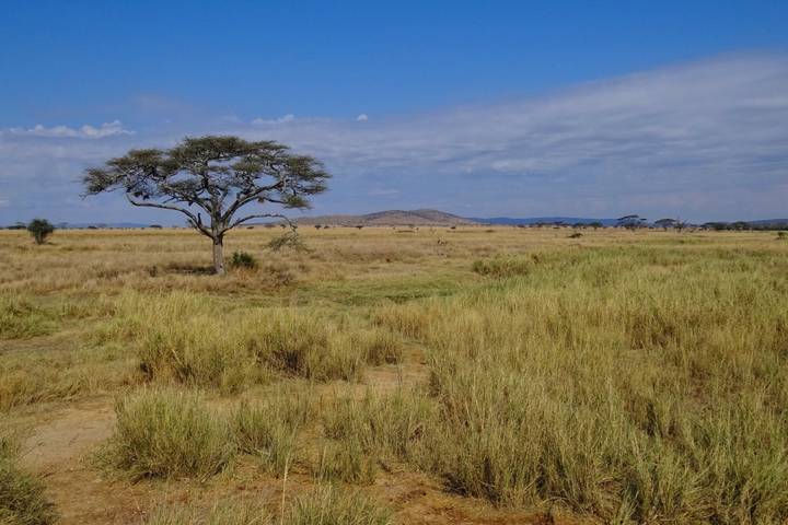 Itinerary Image 3