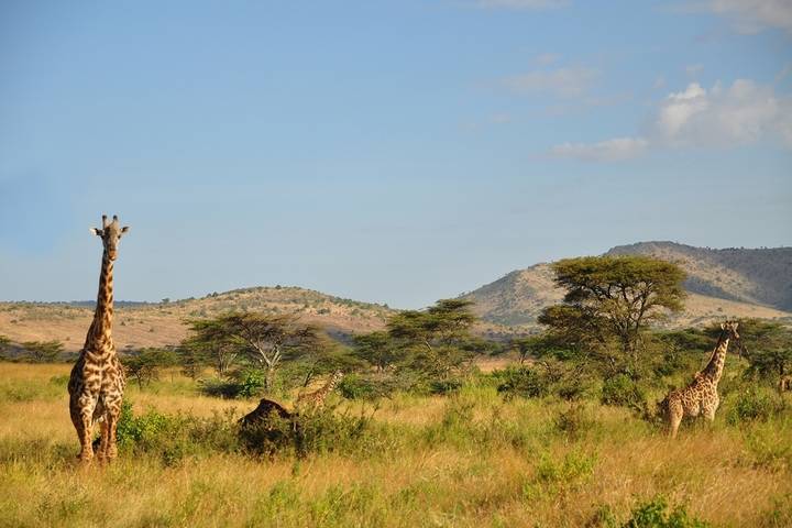Itinerary Image 2