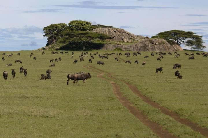 Itinerary Image 3