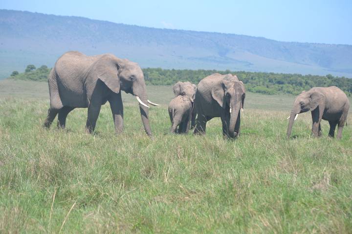 Itinerary Image 3