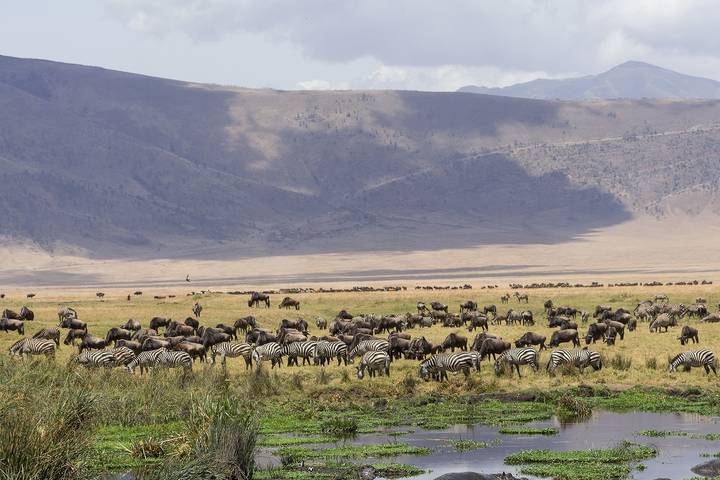 5 Days Tanzania Camping Safari